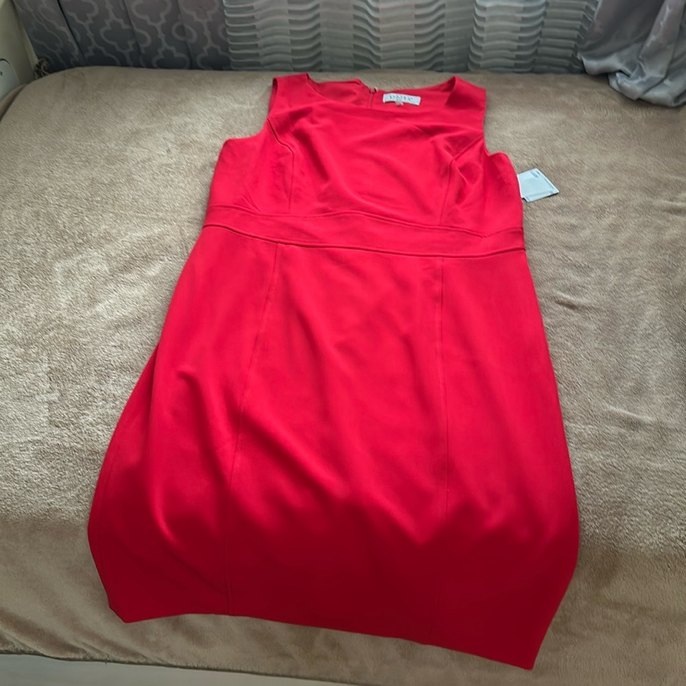 Cherry red Kasper dress